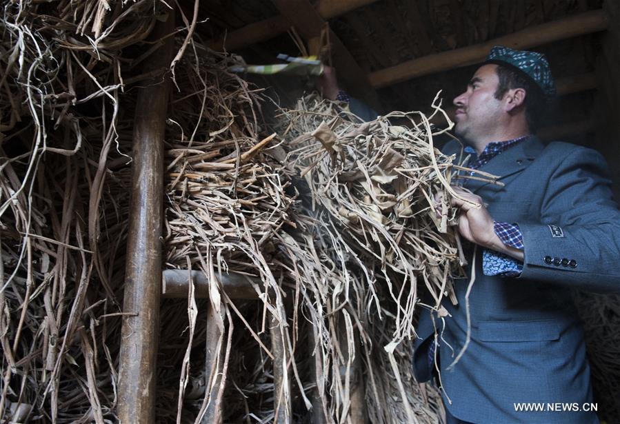 The handmade mulberry-bark paper, originating thousands of years ago in Xinjiang, has been listed as intangible cultural heritage by the UNESCO.