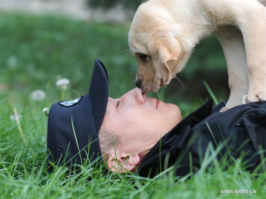 CHINA-BEIJING-POLICE DOG (CN)