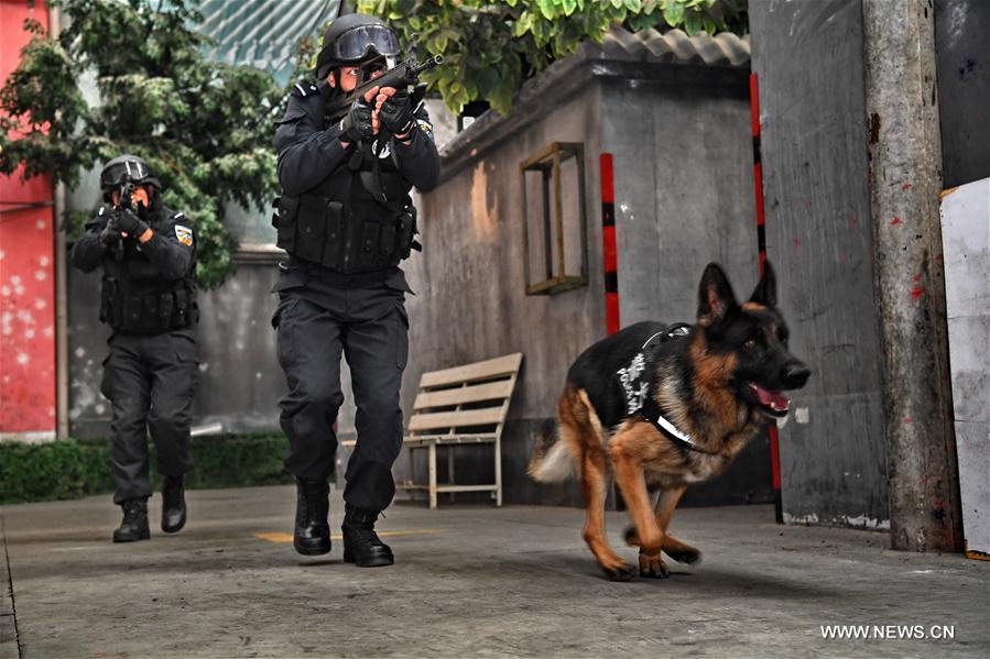 #CHINA-BEIJING-POLICE DOG (CN*)