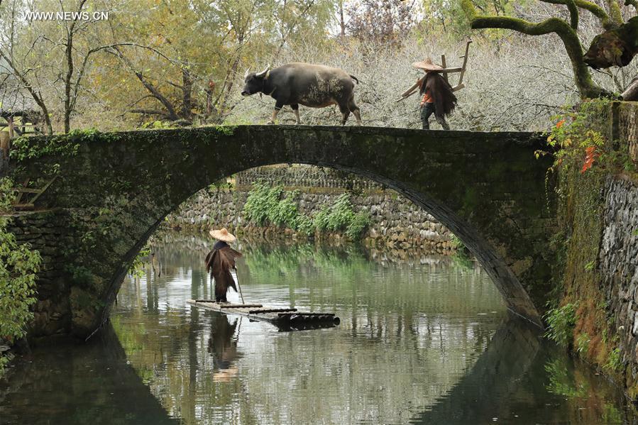 WEEKLY CHOICES OF XINHUA PHOTO