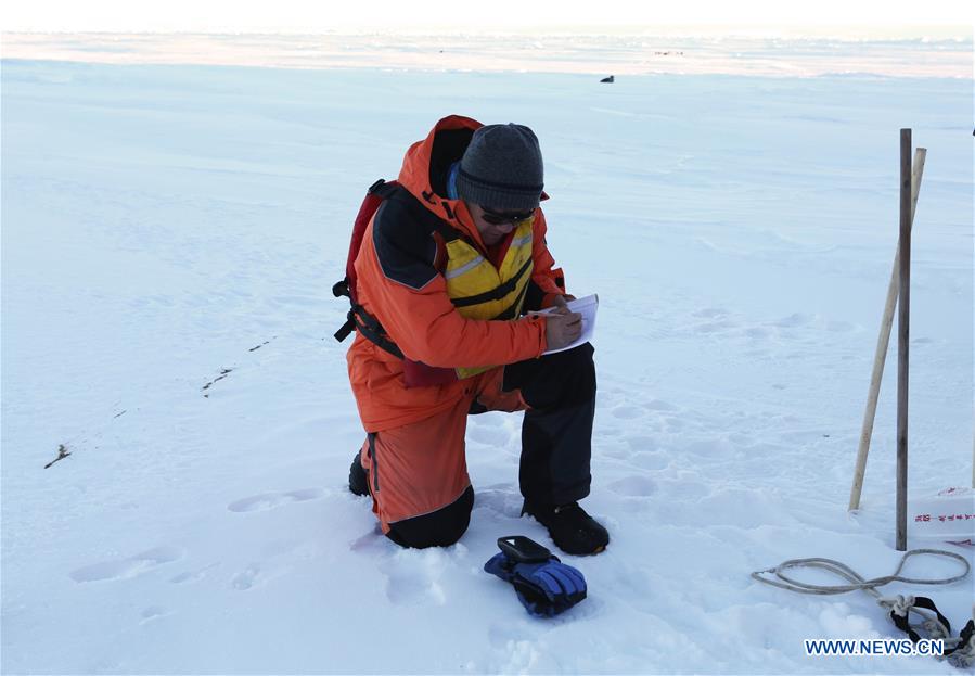 CHINA-XUELONG-ANTARCTIC EXPEDITION (CN)
