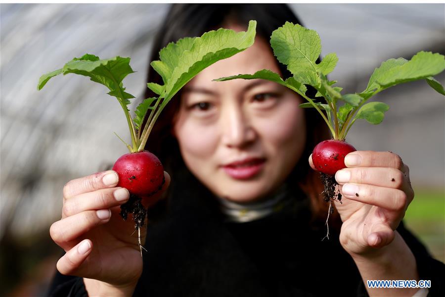 #CHINA-JIANGSU-XUYI COUNTY-