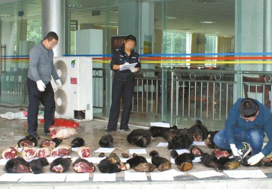 ����㶯�����塣