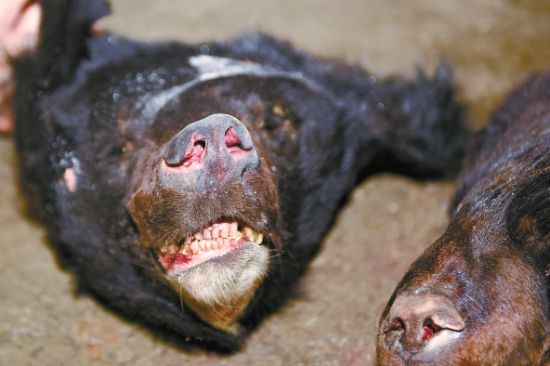 ����ɱ����ͷ��