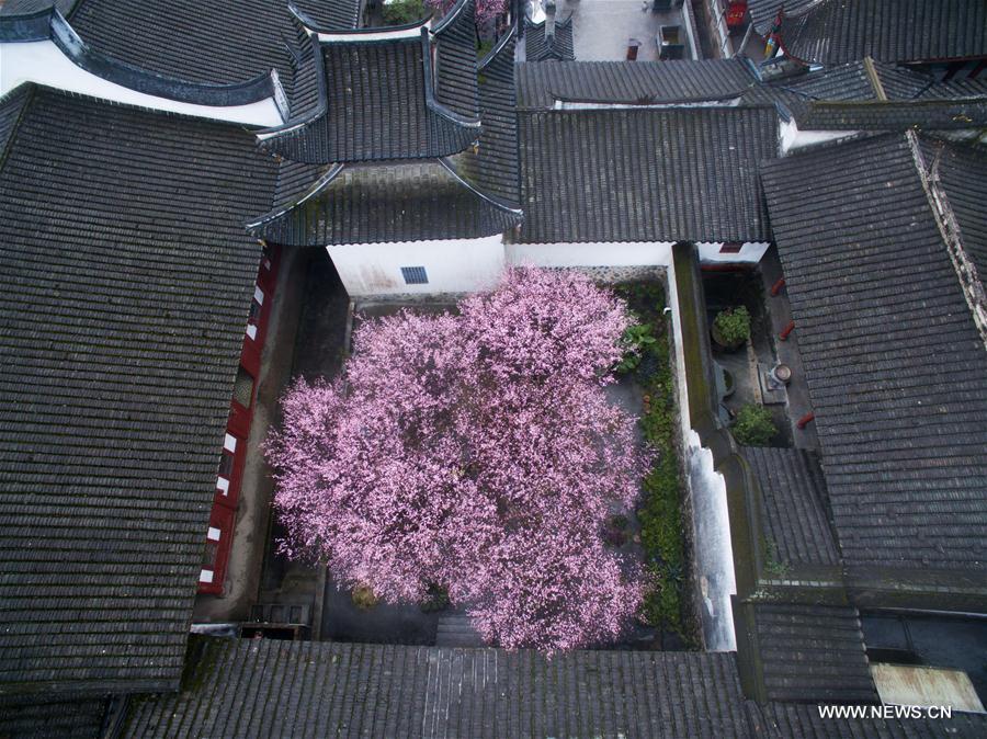 CHINA-FUZHOU-LINYANG TEMPLE-SCENERY (CN)