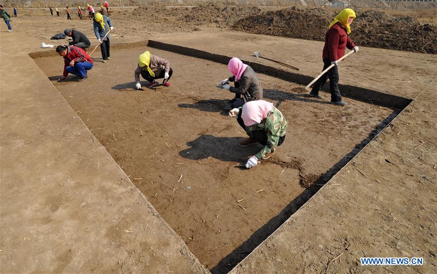 Archaeologists work at the ancient Haifeng town ruins site in Huanghua, north China's Hebei Province, March 17, 2017. Chinese archaeologists began the second-stage excavation of the ruins here, expecting to unveil functions of the town as an important trade port during the Jin (1115-1234) and Yuan (1271-1368) dynasties in Chinese history. (Xinhua/Yang Shiyao) 