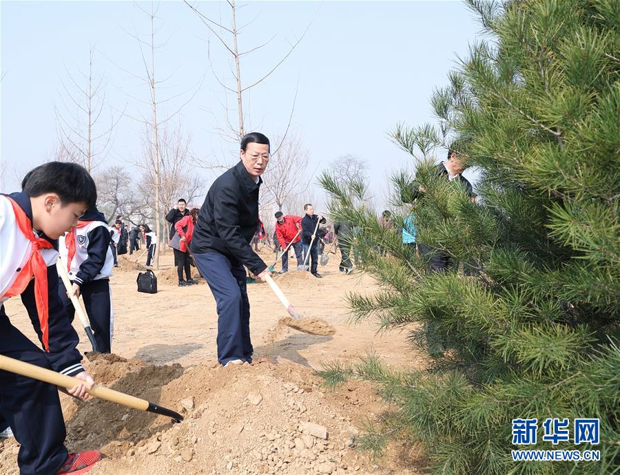 （XHDW）（9）黨和國家領導人參加首都義務植樹活動