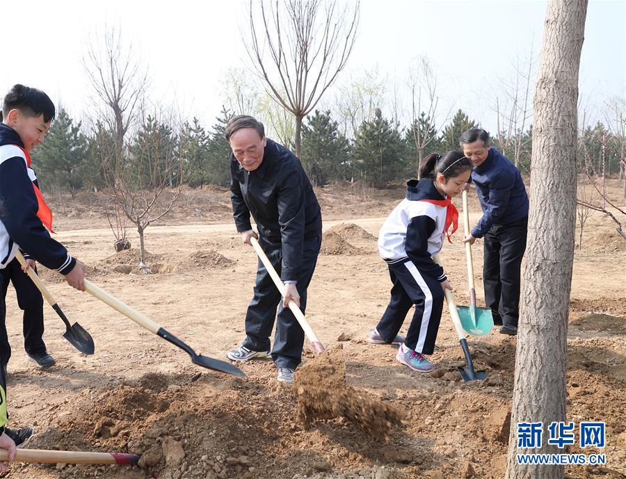 （XHDW）（8）黨和國家領導人參加首都義務植樹活動