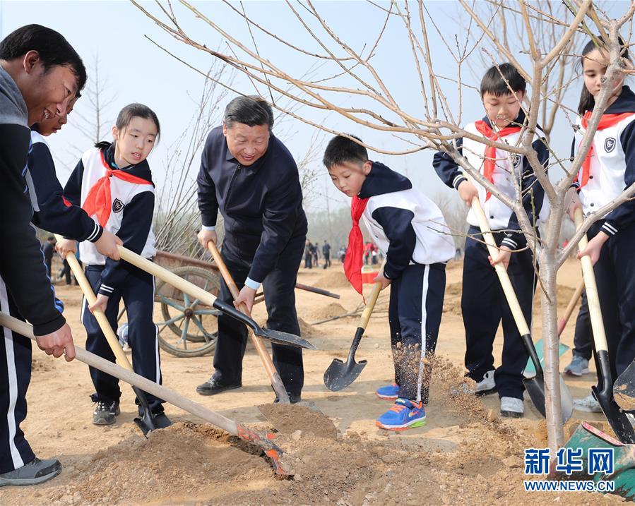 （時政）黨和國家領導人參加首都義務植樹活動