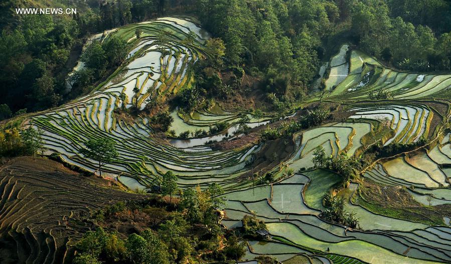 CHINA-YUNNAN-HANI TERRACE-SCENERY (CN)