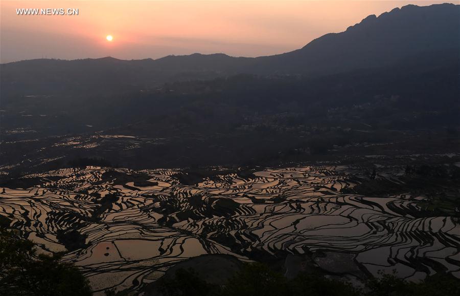 CHINA-YUNNAN-HANI TERRACE-SCENERY (CN)