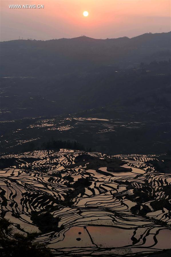 CHINA-YUNNAN-HANI TERRACE-SCENERY (CN)