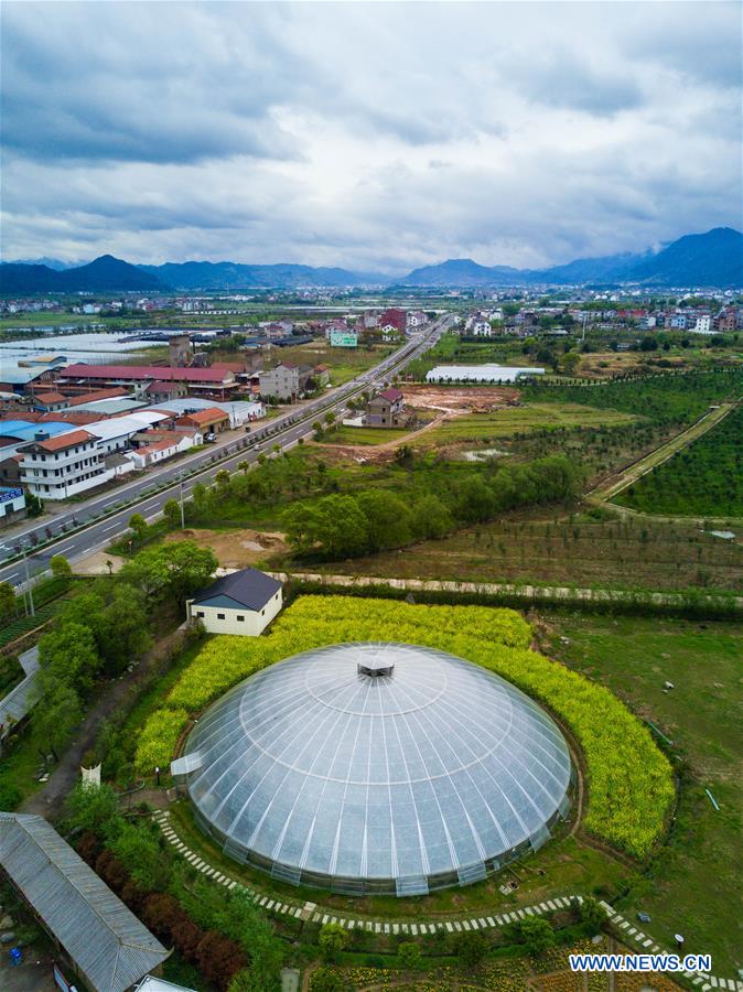 CHINA-ZHEJIANG-FARM-SCENERY (CN)