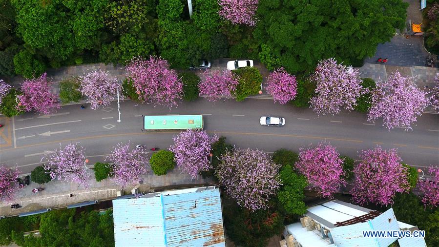 CHINA-GUANGXI-LIUZHOU-ENVIRONMENT (CN)