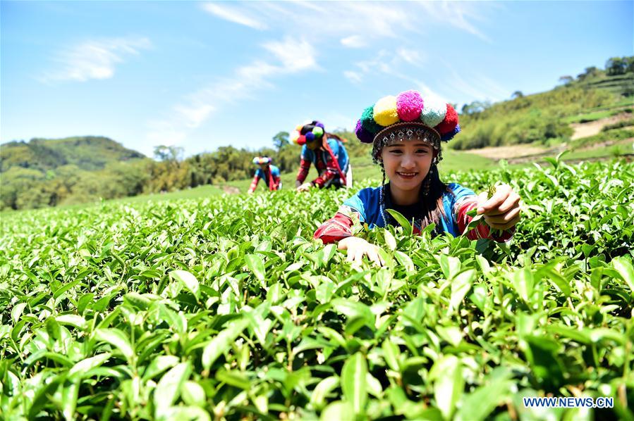 CHINA-JIAYI-ABORIGINALS-CULTURE (CN)