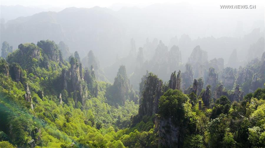 CHINA-ZHANGJIAJIE-SCENERY (CN)