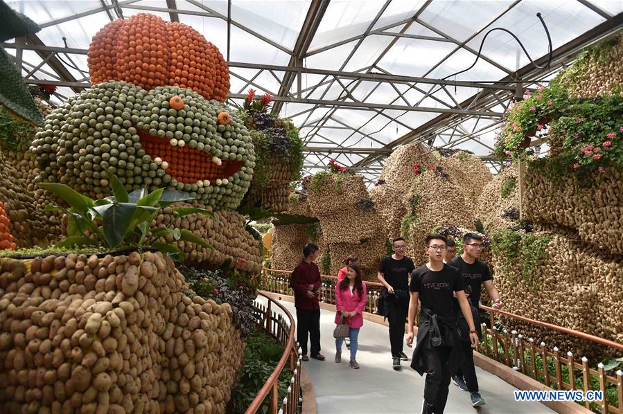 CHINA-SHANDONG-VEGETABLE-FAIR(CN)