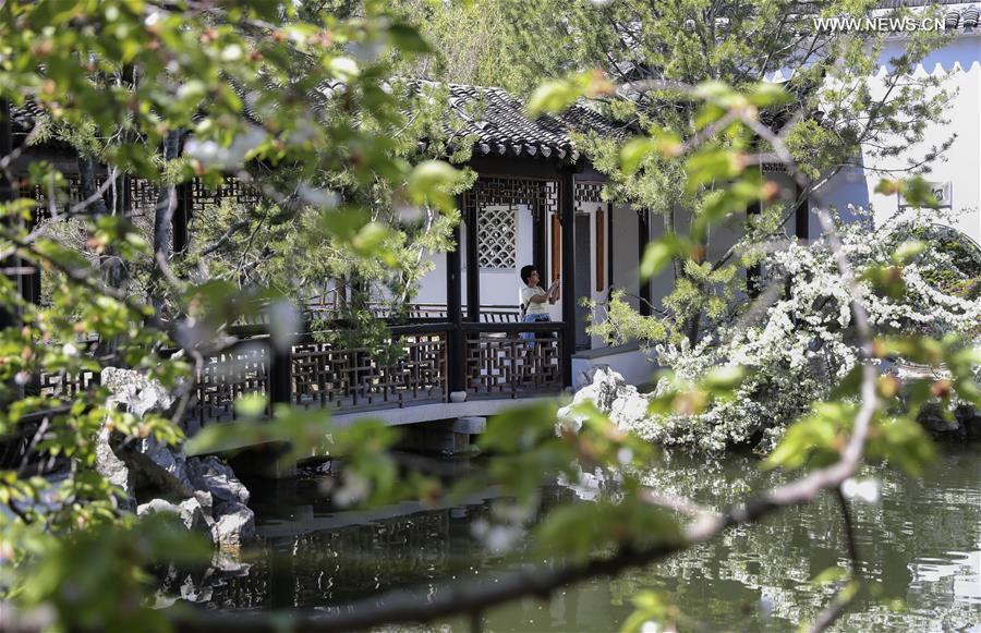 Scenery Of Chinese Scholar S Garden At Snug Harbor On Staten