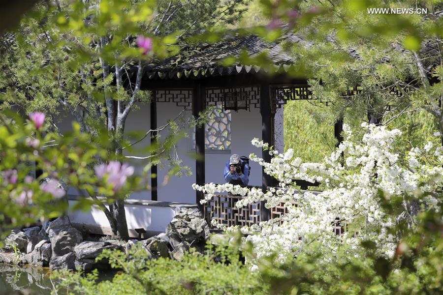 Scenery Of Chinese Scholar S Garden At Snug Harbor On Staten