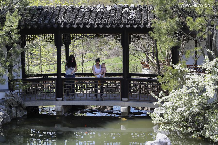 U.S.-NEW YORK-CHINESE SCHOLAR'S GARDEN