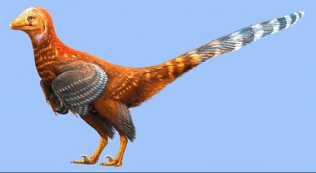 A reconstruction of what the Jianianhualong tengi might have looked like. [Photo: mydrivers.com]