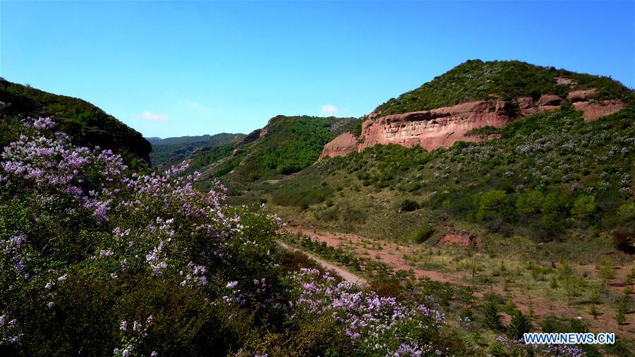 CHINA-NINGXIA-GUYUAN-DANXIA GEOPARK (CN)