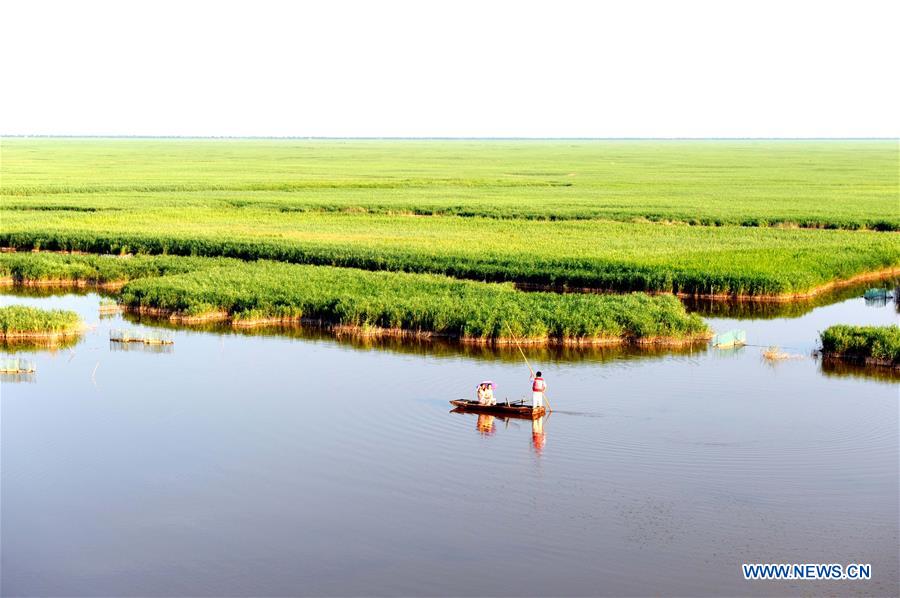 CHINA-HEBEI-ENVIRONMENT-WETLAND (CN)