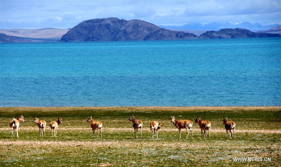 CHINA-TIBET-SCIENTIFIC EXPEDITION (CN)