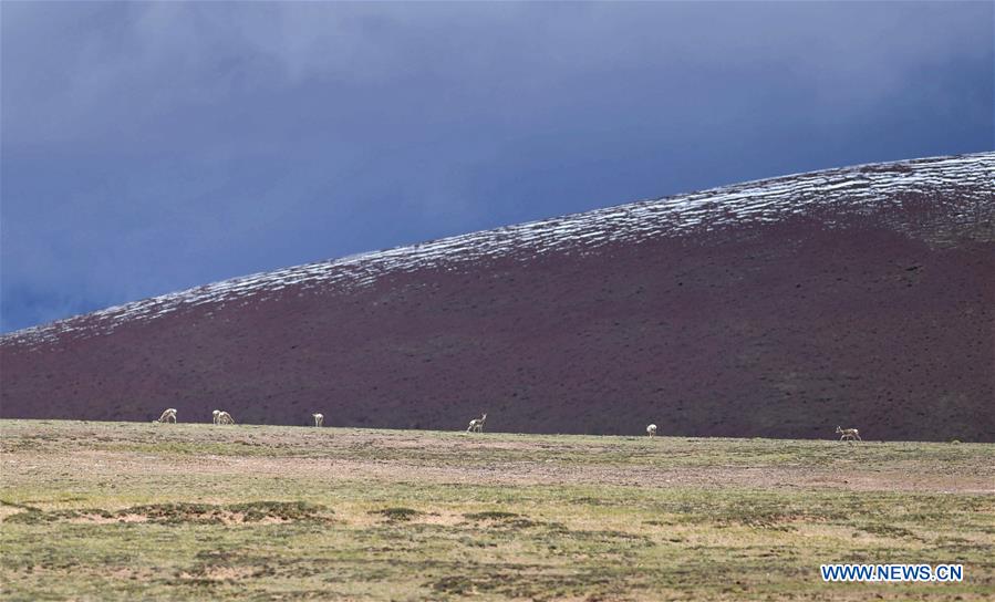 CHINA-TIBET-SCIENTIFIC EXPEDITION (CN) 