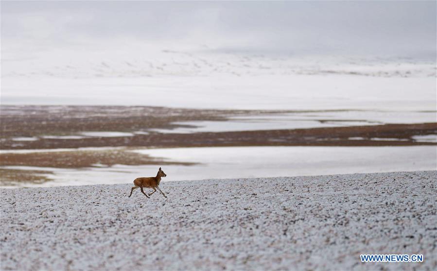 CHINA-TIBET-SCIENTIFIC EXPEDITION (CN) 