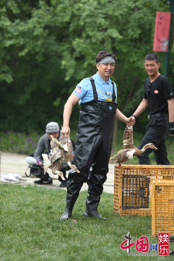 《极限挑战》黄渤与路人暖心互动 黄磊才智过人