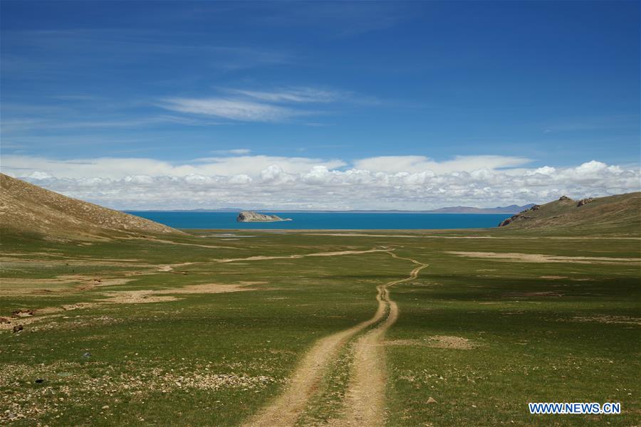 CHINA-NAGQU-SERLING TSO LAKE-SCENERY (CN)