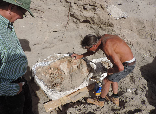 美10岁男童与家人徒步旅行意外发现史前化石【3】