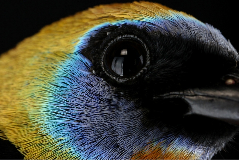 ������ء��ľӿ͡�������ͬ��ʳ��9��