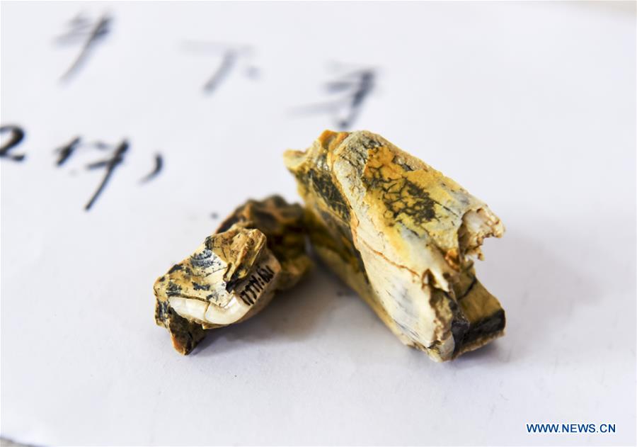 CHINA-XINJIANG-JEMINAY-ARCHAEOLOGY-RUINS (CN)