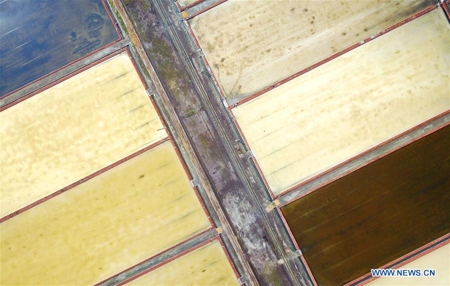 #CHINA-DALIAN-SEA SALT-HARVEST (CN)