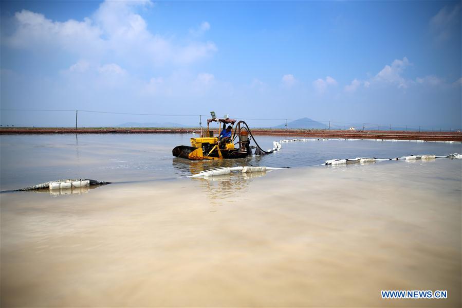 #CHINA-DALIAN-SEA SALT-HARVEST (CN)