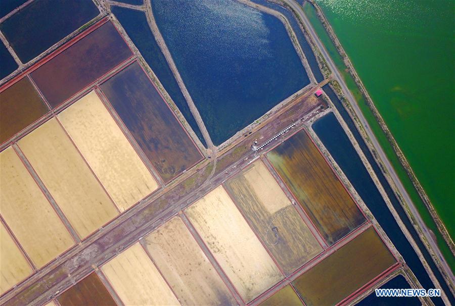 #CHINA-DALIAN-SEA SALT-HARVEST (CN)