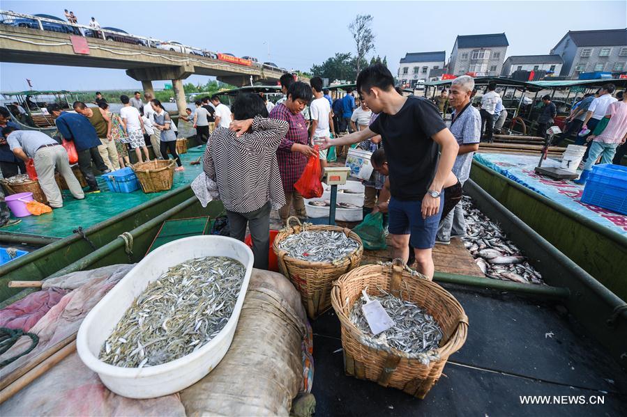 CHINA-ZHEJIANG-FISHING SEASON (CN) 