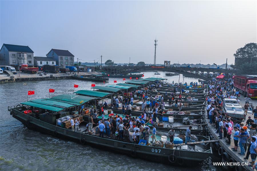 CHINA-ZHEJIANG-FISHING SEASON (CN) 
