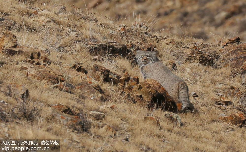 �½������״����㵽���������  �ѱ���¼���й���Σ�����Ƥ�顷