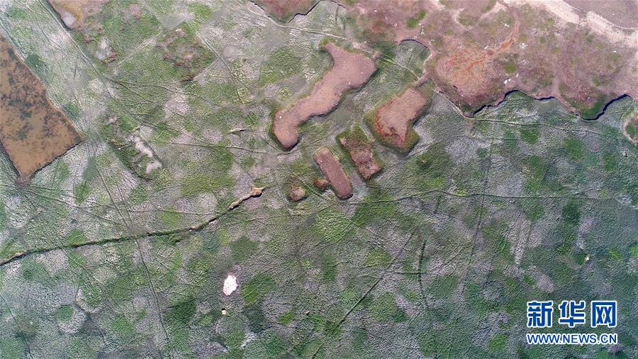 ����̬����4��۶���������ˮ�� չ�֡��Ǹ�֮����