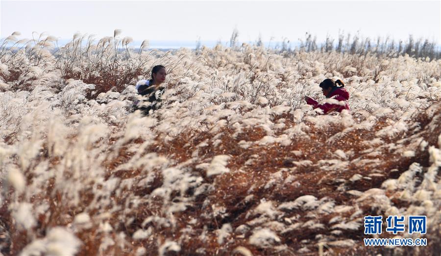 ����̬����2��۶���������ˮ�� չ�֡��Ǹ�֮����