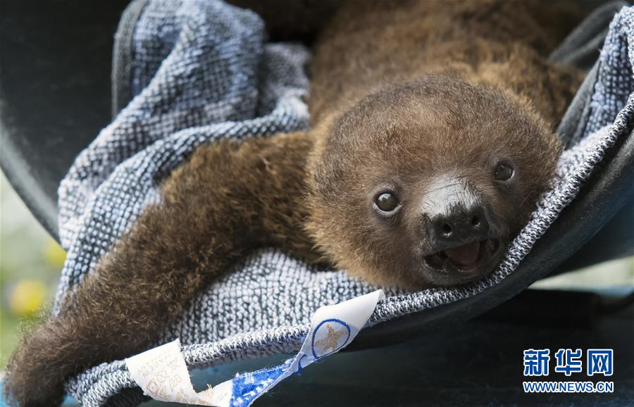 �����H����K�������14�����ȇ}��������ϵ������ĺ���˲�g