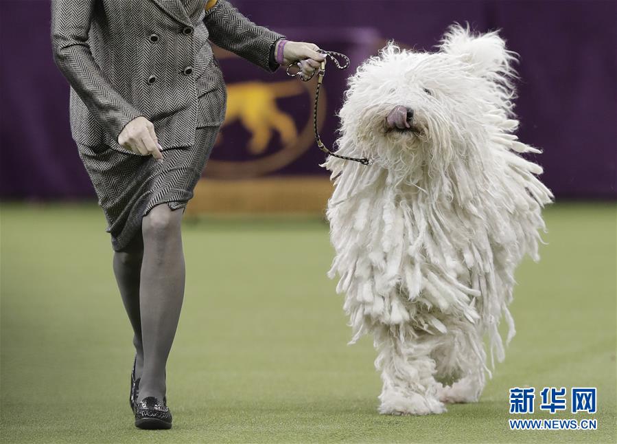 �����H����K�������12�����ȇ}��������ϵ������ĺ���˲�g