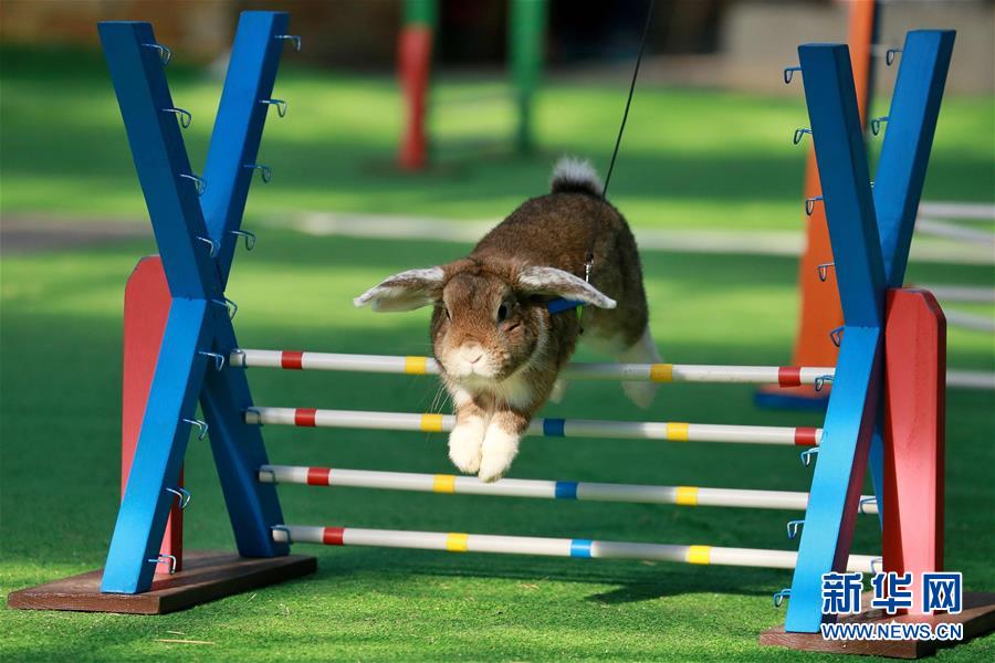 �����ʡ����ձ�������2�������գ�������ϵ�������ǵĺ���˲��