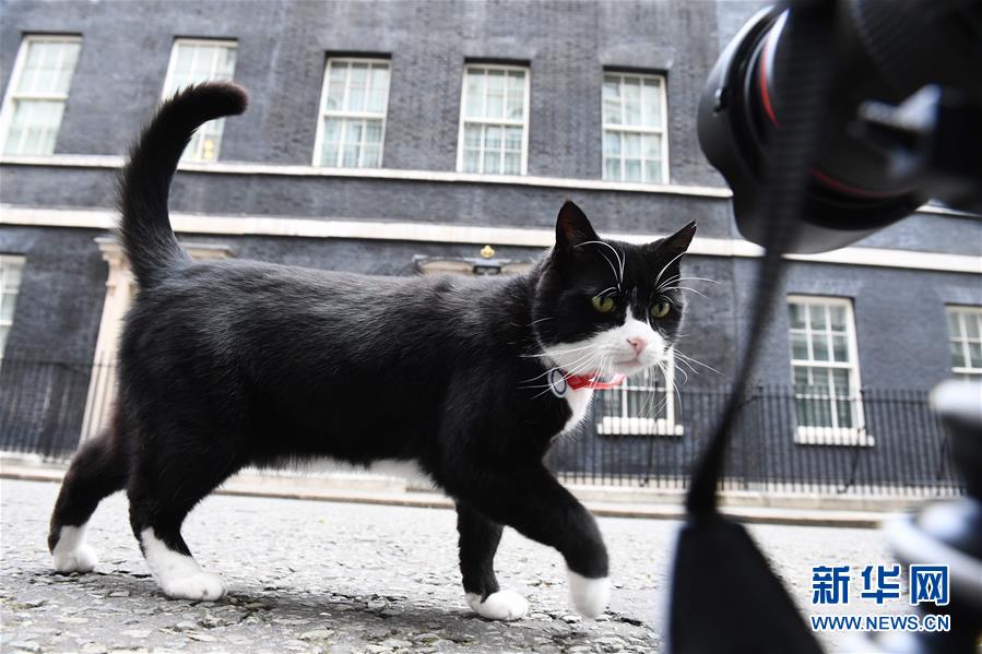 �����H����K�������7�����ȇ}��������ϵ������ĺ���˲�g