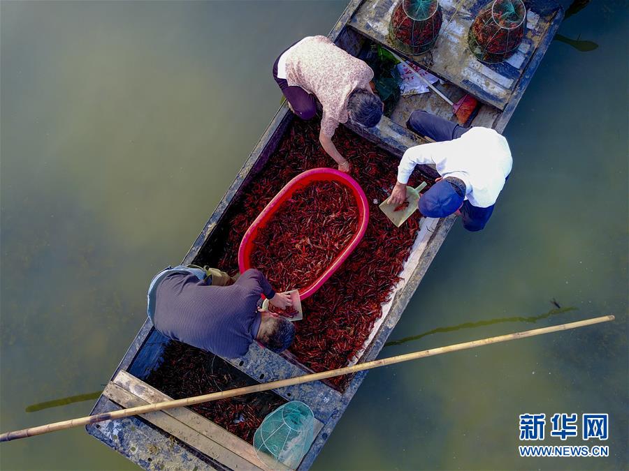 �����ձ�������3�����֮�������