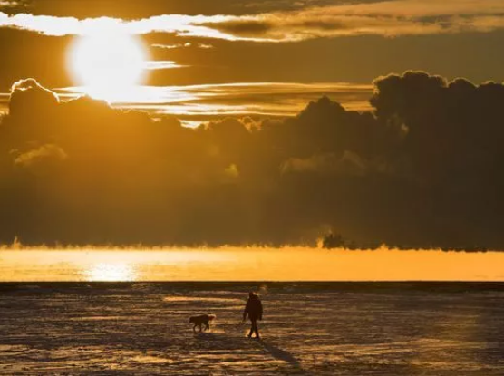 组图:打破百年低温纪录 北美人民在暴风雪里快扛不住了!