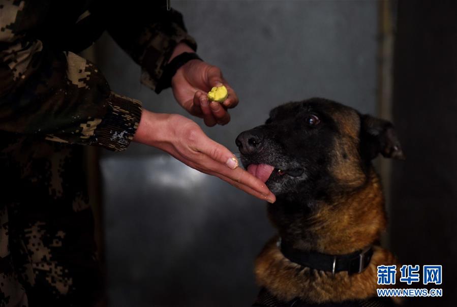 #��ͼƬ���£���10����Ȯ�������ս��